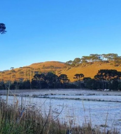 SC tem manhã fria e dia de sol nesta quinta-feira.