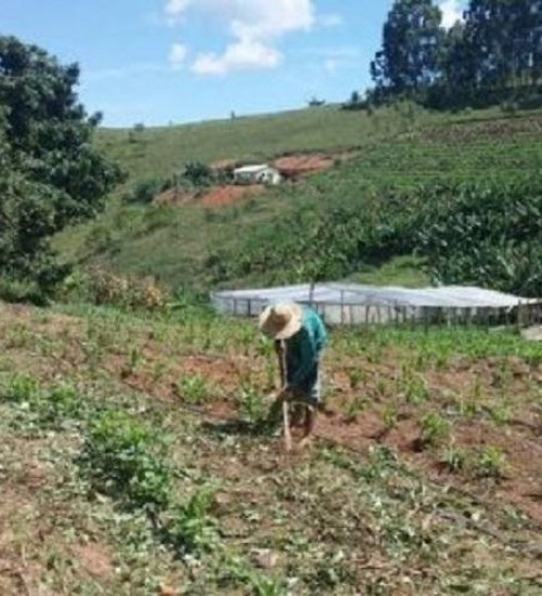 Sindicato incentiva agricultores a aderirem ao Crédito Fundiário.