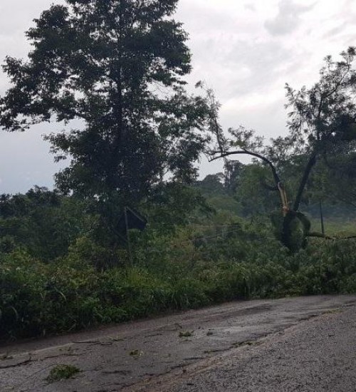 Temporal causa estragos em Itapiranga.