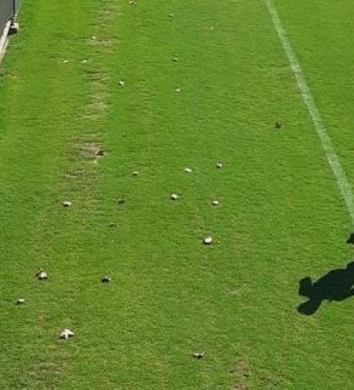 Ferreira faz atividades específicas em treino do Grêmio.