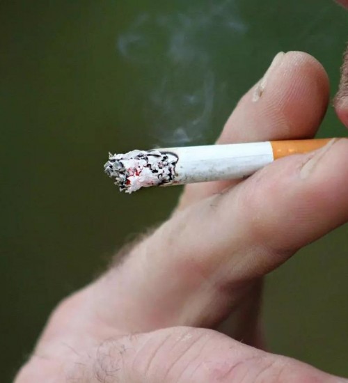 É proibido fumar: Santa Catarina veta cigarro em parques e playgrounds.