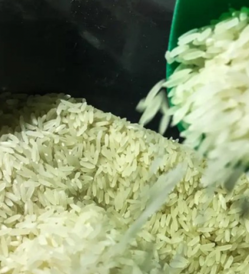 Governo federal anula leilão para compra de arroz importado.