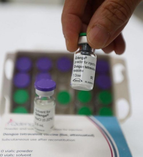 Vacinação contra a dengue será ampliada para municipios da região Oeste.