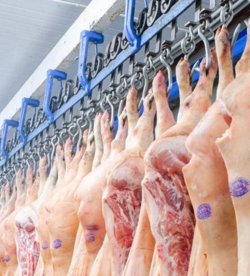 ACCS evita empolgação aos seguidos aumentos no preço da carne suína.