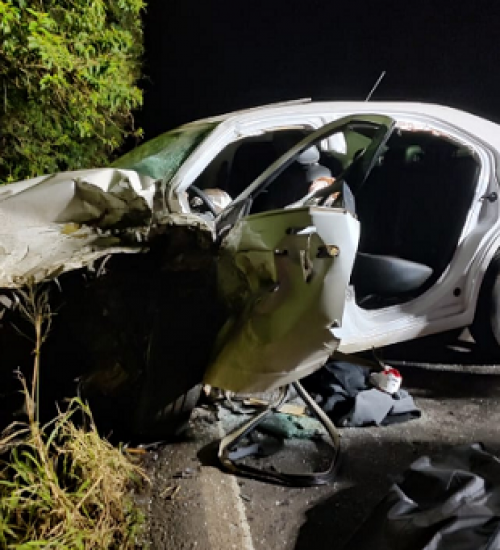Homem morre e família fica ferida em colisão frontal na BR-282 entre SMOeste e Maravilha