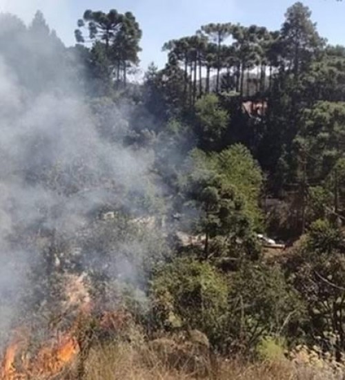 PF intensifica investigações sobre incêndios no Brasil