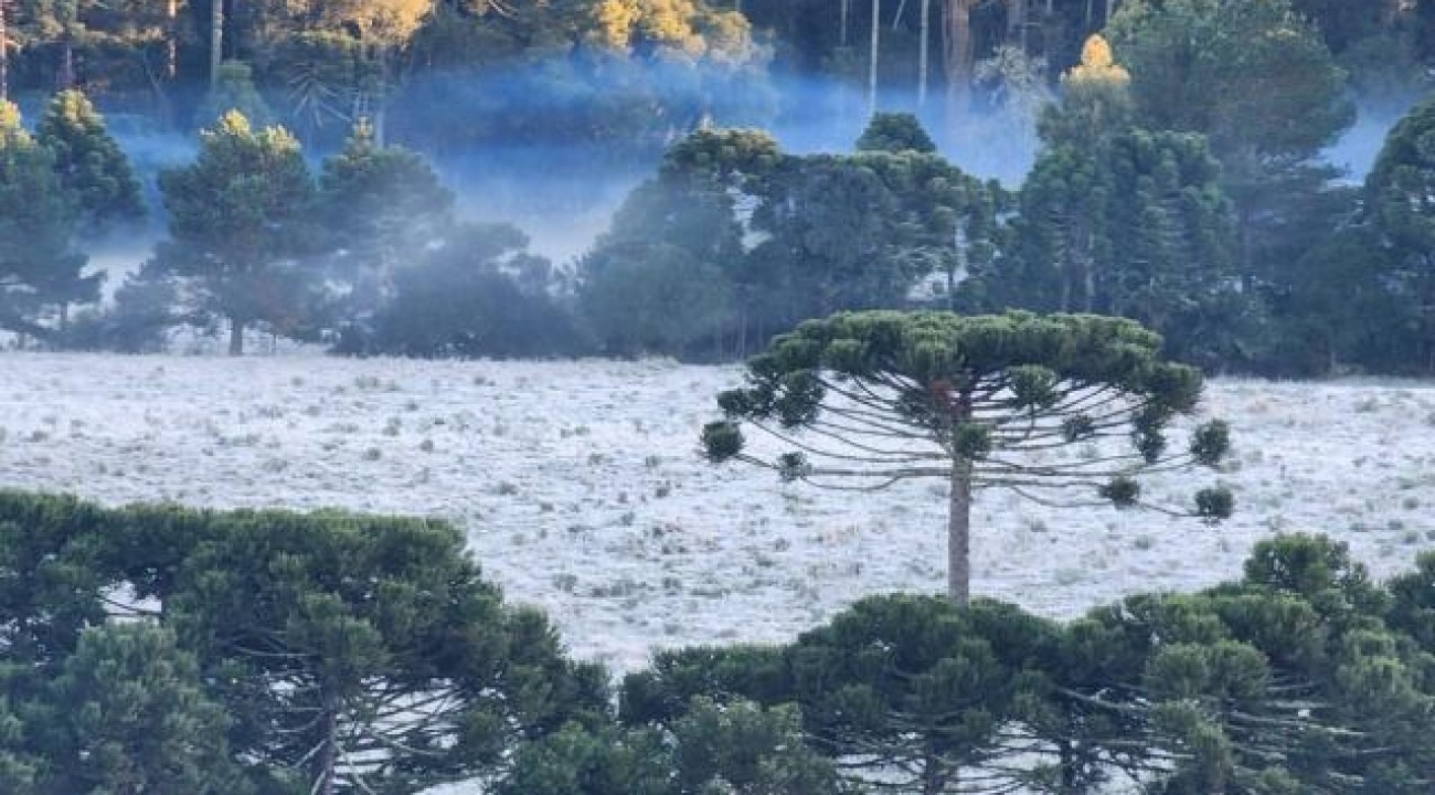 Junho deve ser menos chuvoso e com temperaturas acima da média em Santa Catarina.