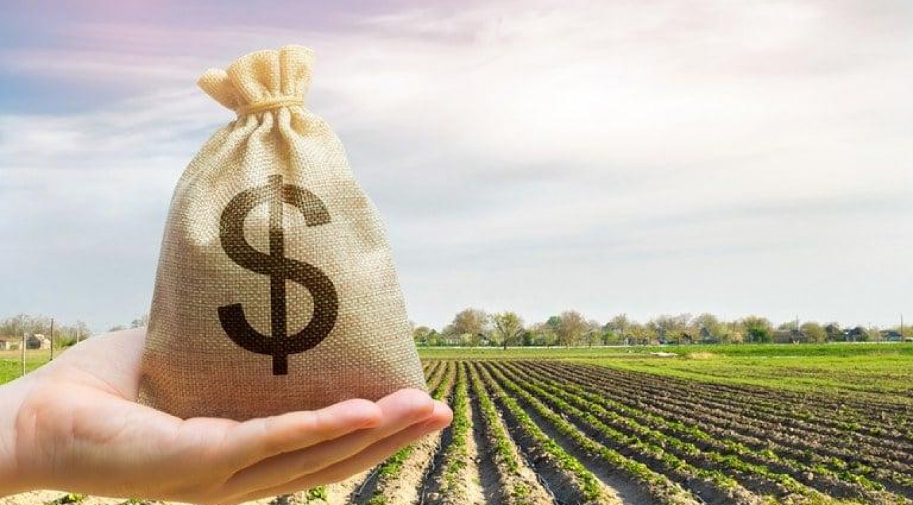 Agricultura negocia cerca de R$ 500 bilhões para o Plano Safra.