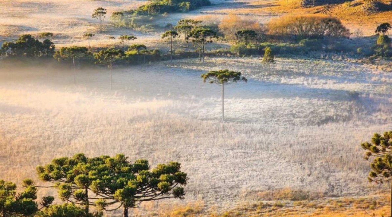 Inverno em SC terá diminuição da chuva e temperaturas acima da média.