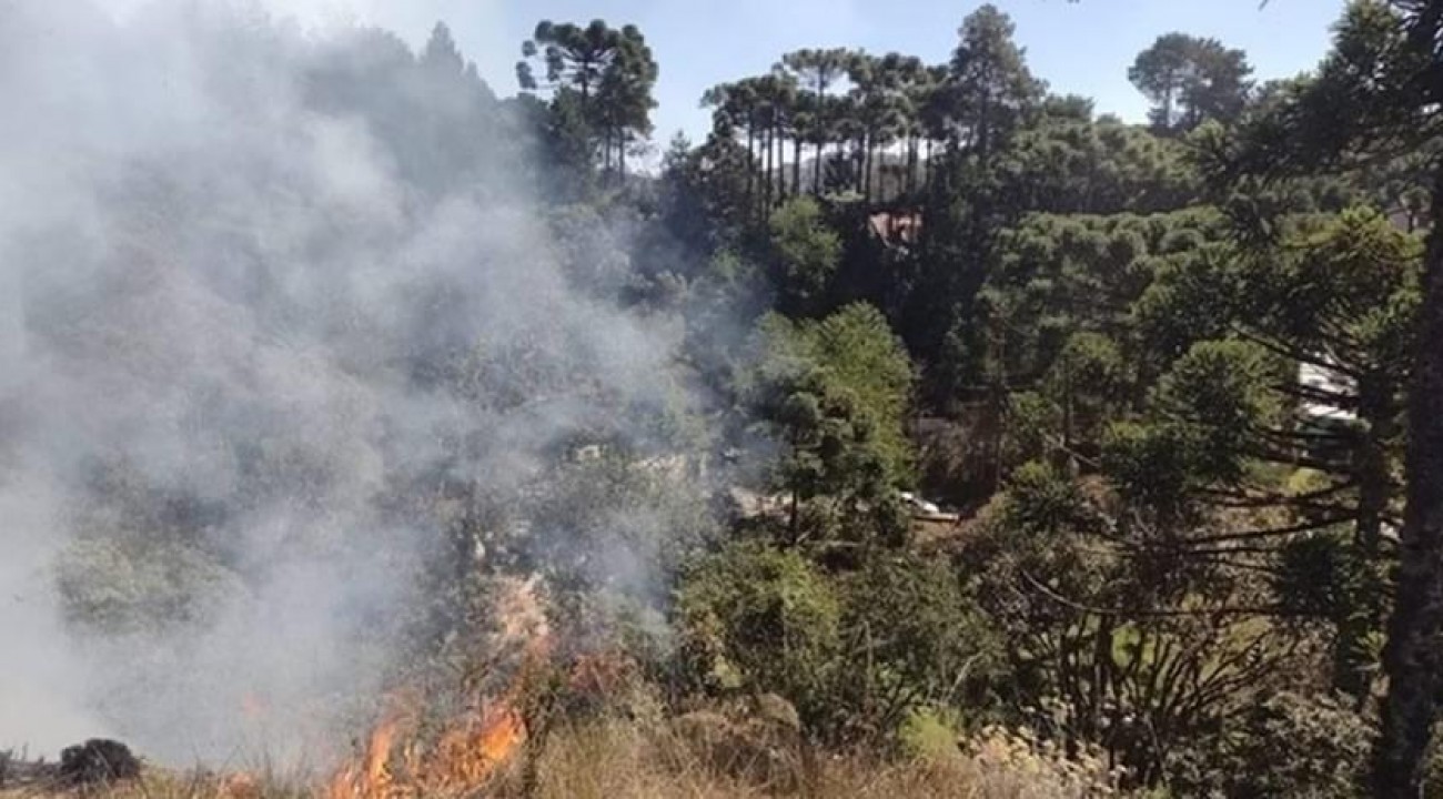 PF intensifica investigações sobre incêndios no Brasil